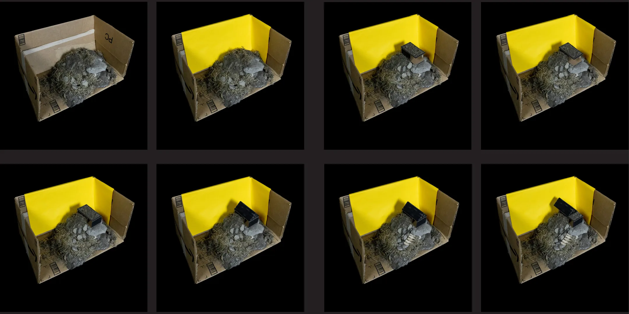 Model iterations