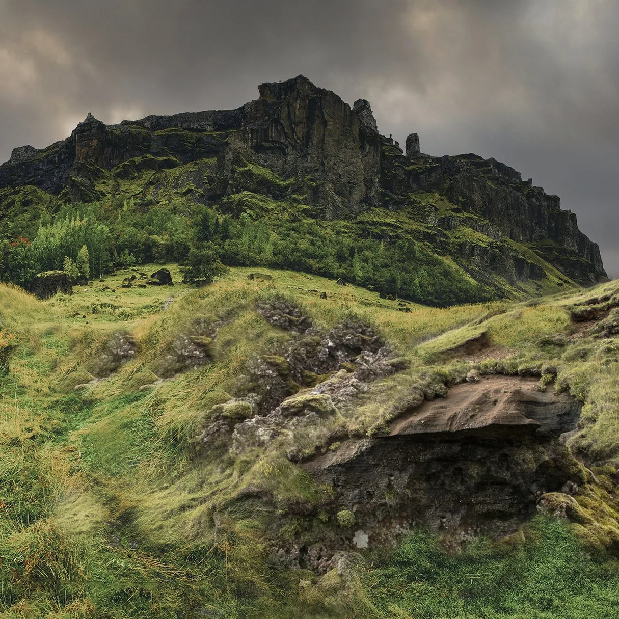 Site image