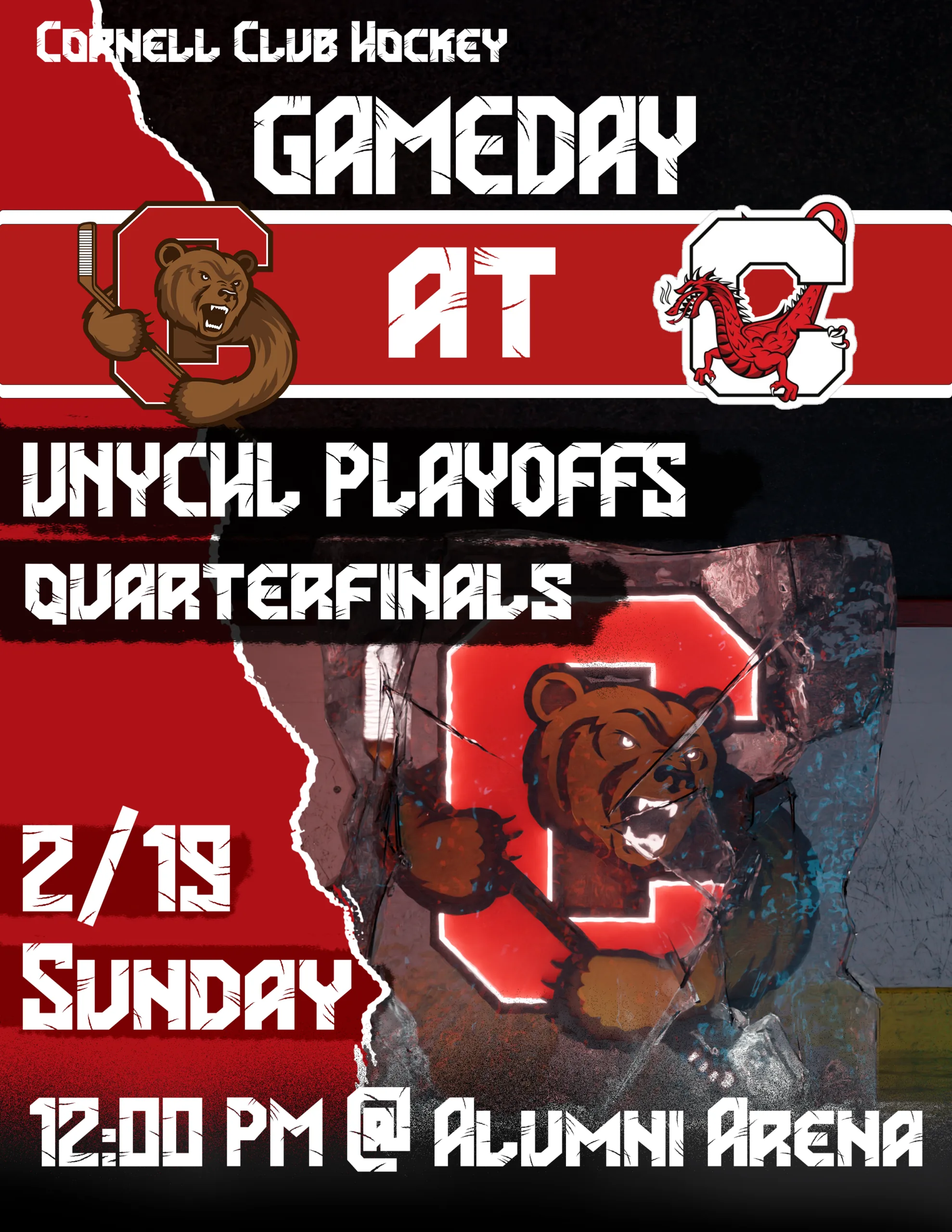 Cornell Hockey, image 7
