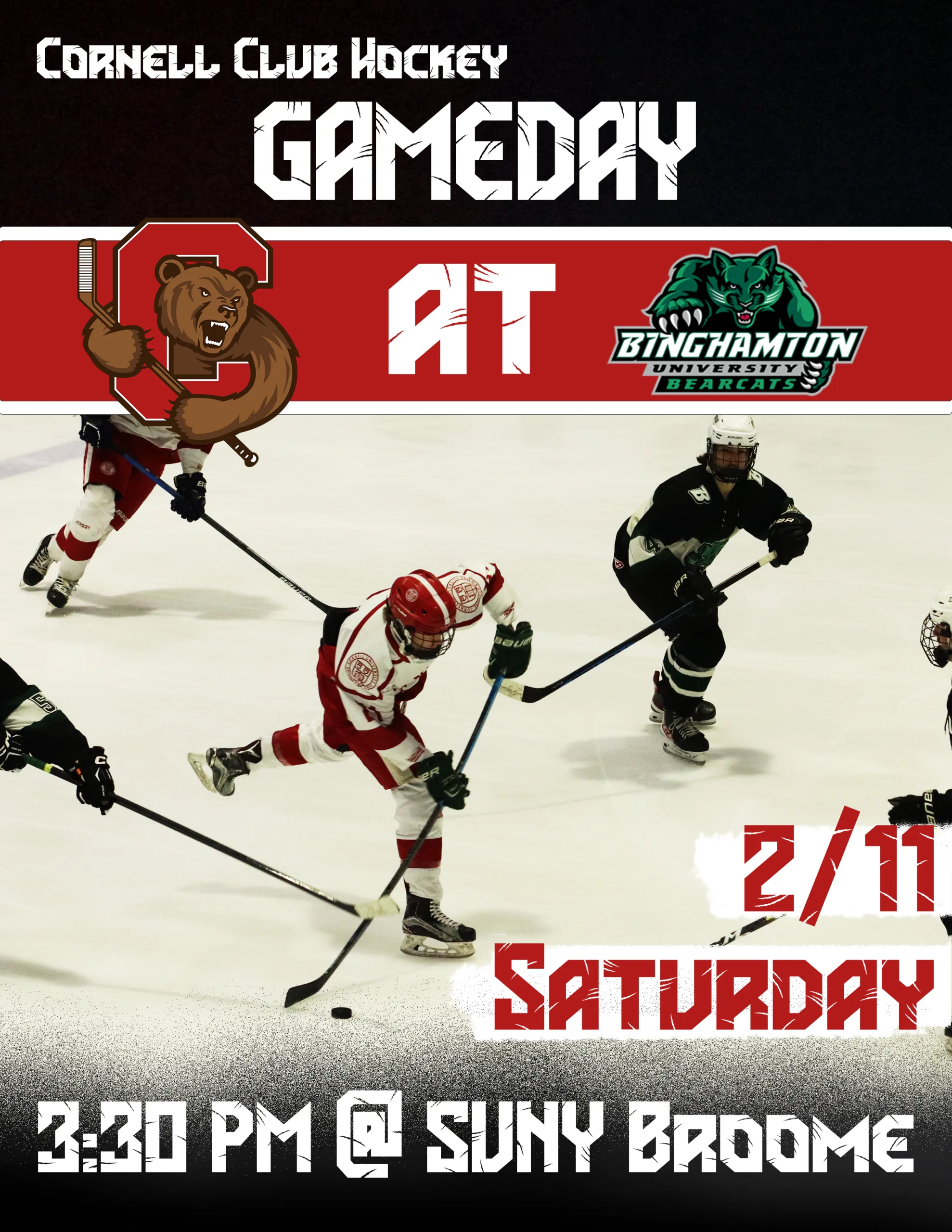 Cornell Hockey, image 8