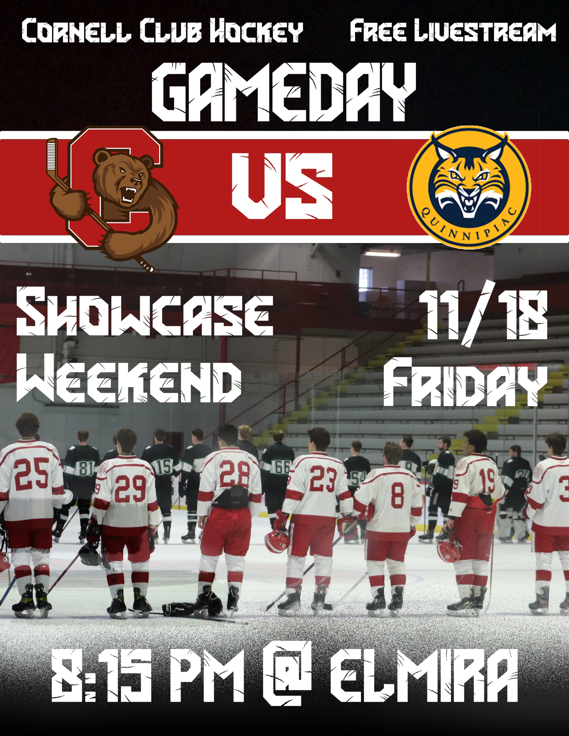 Cornell Hockey, image 5