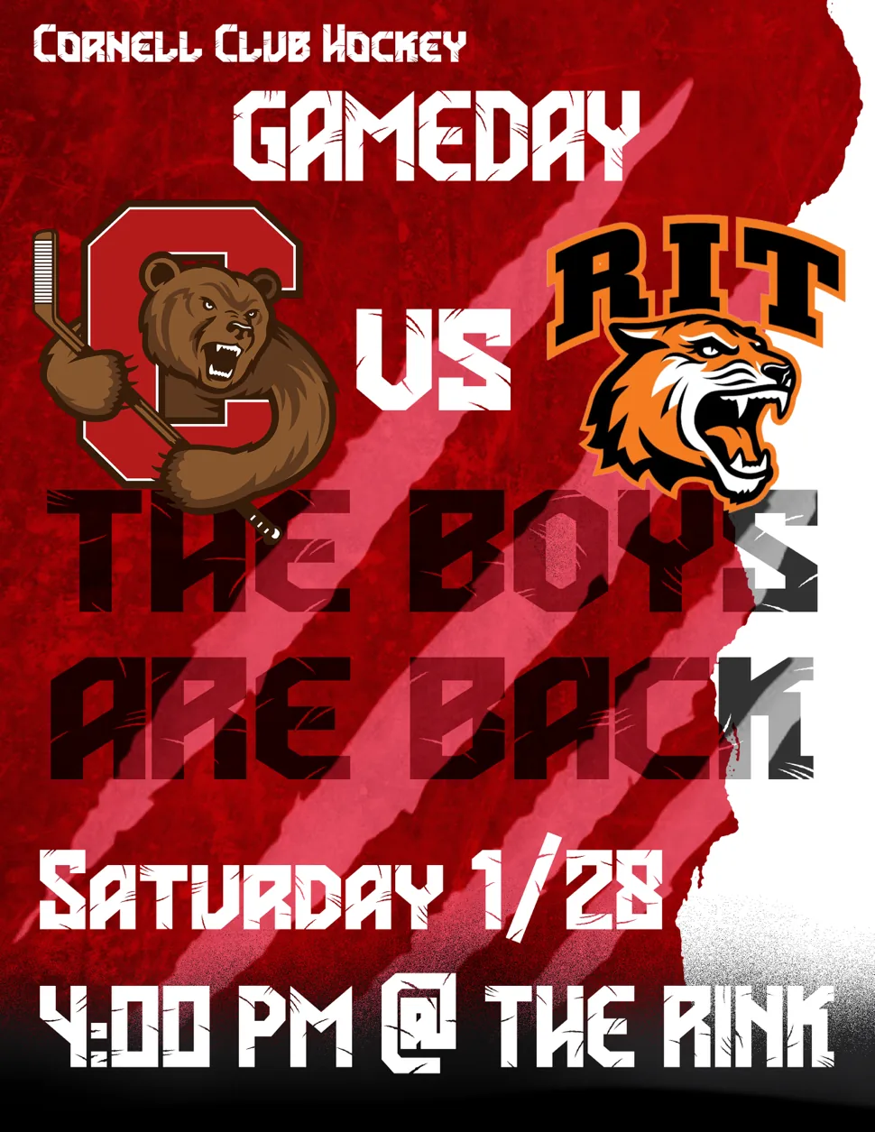 Cornell Hockey, image 6